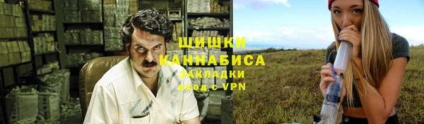 ПСИЛОЦИБИНОВЫЕ ГРИБЫ Новозыбков