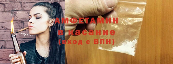 ПСИЛОЦИБИНОВЫЕ ГРИБЫ Новозыбков