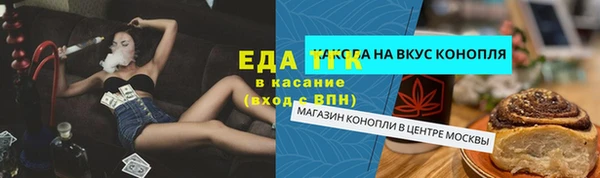 ПСИЛОЦИБИНОВЫЕ ГРИБЫ Новозыбков