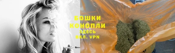 ПСИЛОЦИБИНОВЫЕ ГРИБЫ Новозыбков