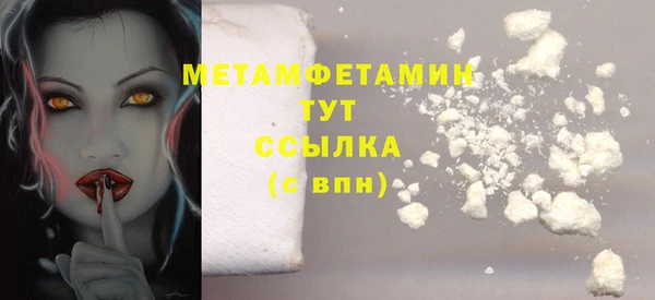 ПСИЛОЦИБИНОВЫЕ ГРИБЫ Новозыбков