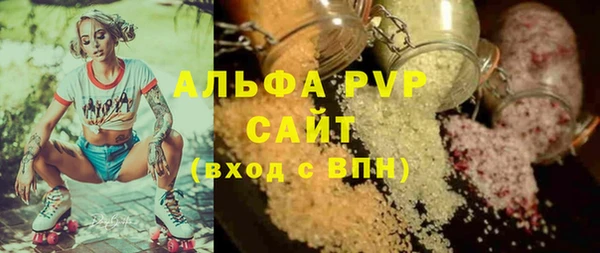 ПСИЛОЦИБИНОВЫЕ ГРИБЫ Новозыбков